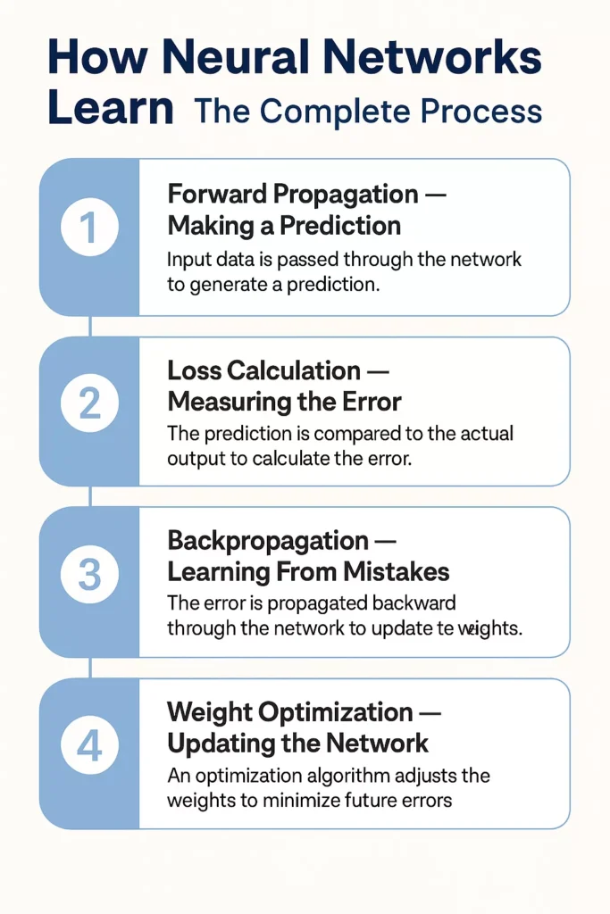 How Neural Networks Learn